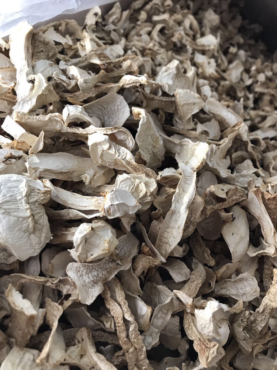 批发大球盖菇干片 云南野外生长菌菇食用菇山珍菌类干货 产地直销