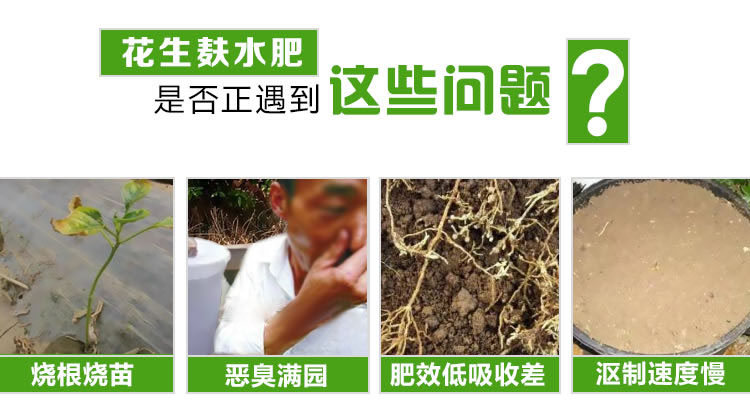 发酵花生麸水肥常见问题