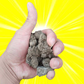 鹌鹑粪 鸟粪 量大优惠 鹌鹑粪颗粒 瓜果蔬菜肥