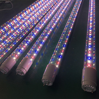 5米 植物生长灯t8led特种光源日光灯