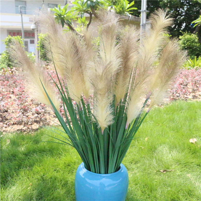 【尺寸】: 单束花高度93厘米,一束有5个芦苇毛毛头,一个芦苇毛毛头