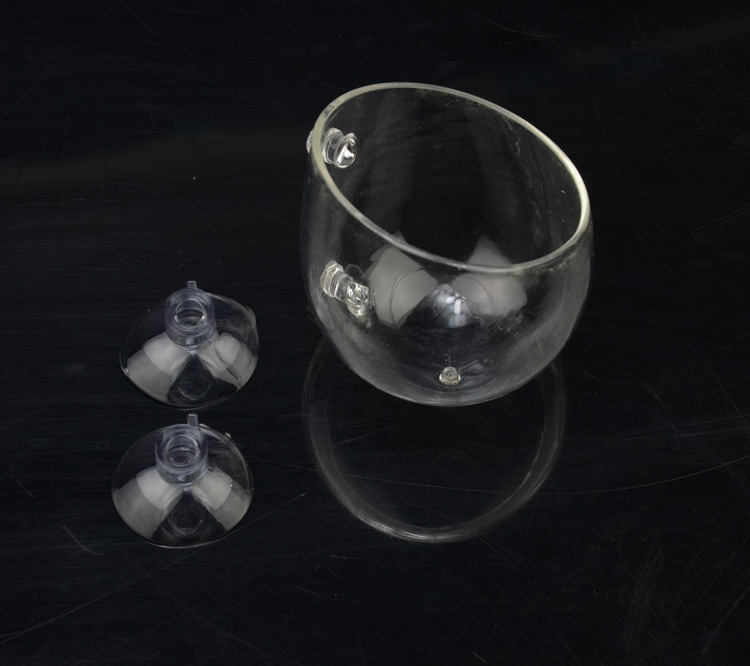 水草培育种植杯玻璃造景盆迷你型种子草皮草坪培养定植造景杯