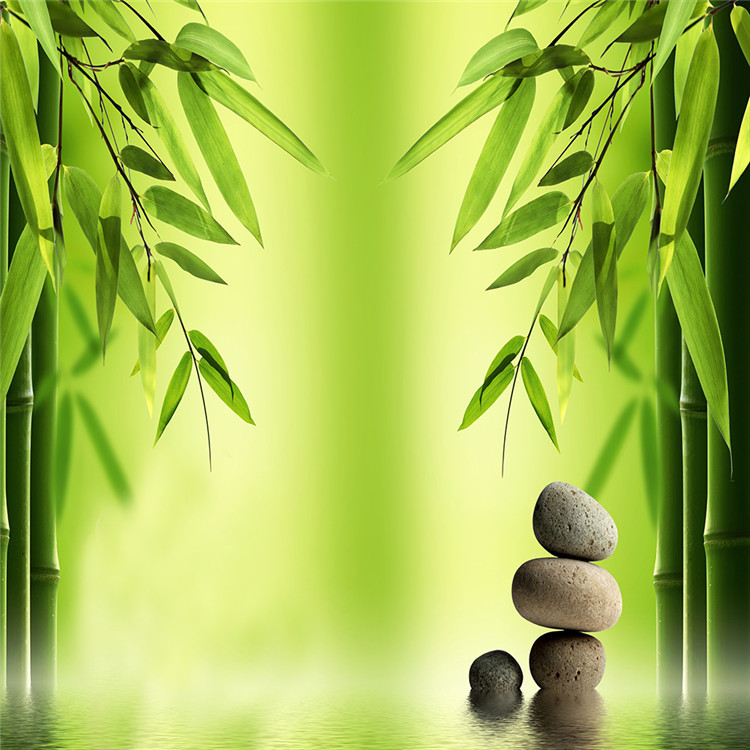 厂家批发 溪竹叠石涤纶窗帘 公寓饭店窗帘来图定制 成品批发