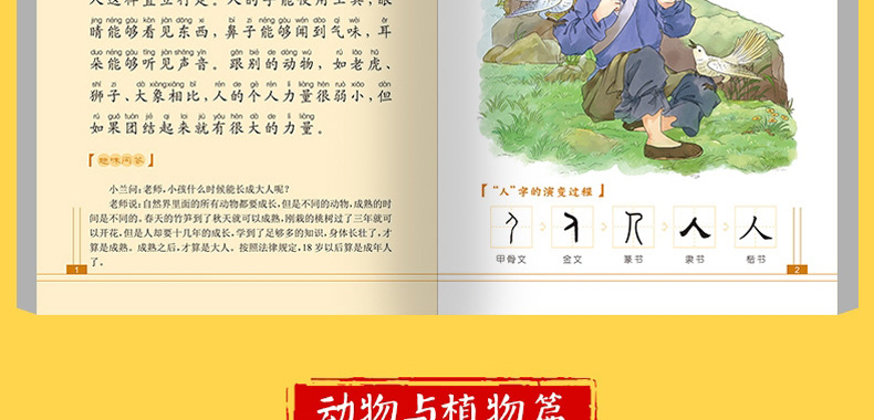 汉字的故事有趣的说文解字文字解析趣味识字语文教辅儿童彩绘版