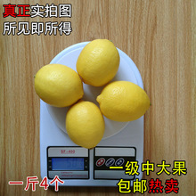 四川安岳柠檬 新鲜 黄柠檬  一级中大果 1斤约4个 5斤起包邮