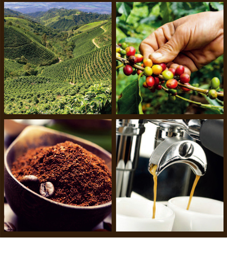 saquella圣贵兰意式浓缩espresso咖啡豆意大利原装进口1kg袋装