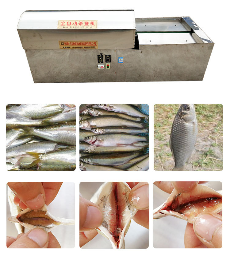 全自动杀鱼机,自动宰鱼机去内脏小型自动杀鱼机