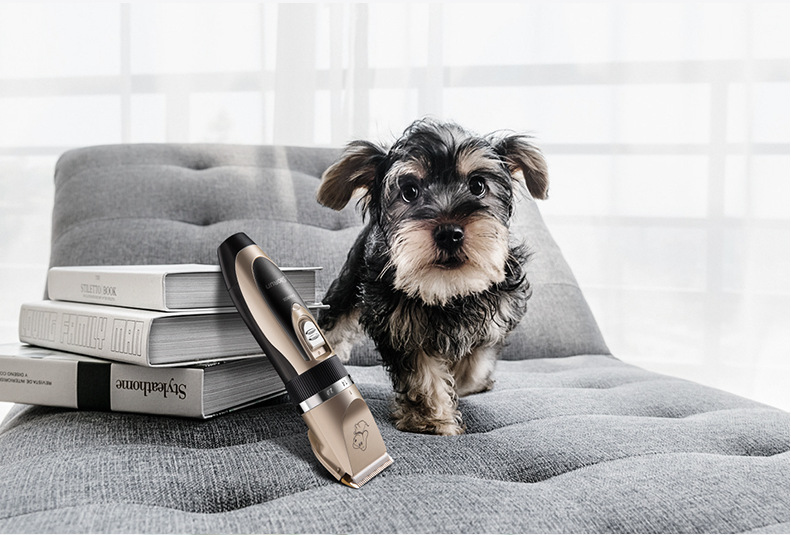 厂家直销宝润p2狗狗剃毛器宠物电推剪用品电推子充电式理发器批发