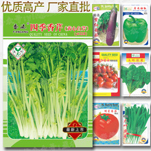 150克:四季香芹(黄心白芹)种子|批发菜种子蔬菜种子批发芹菜种子