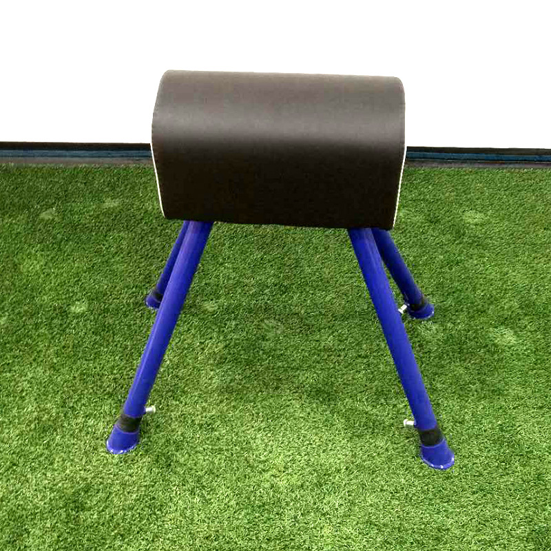 体育教学总结小学_小学学校体育教学工作总结_小学体育课教学总结