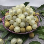 广州特产水果