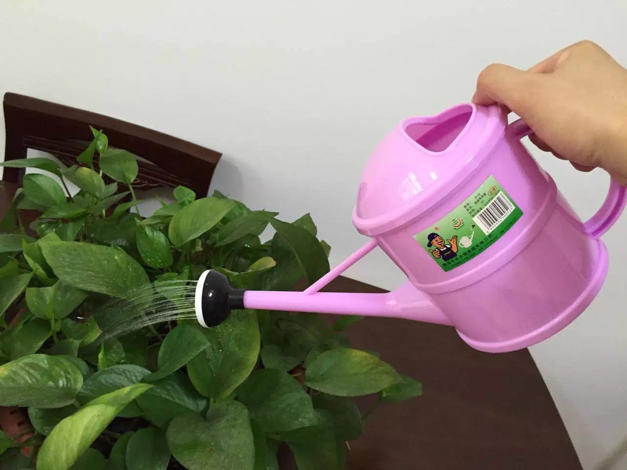 新款浇花瓶洒水壶华丰s20园艺工具浇洒两用壶浇灌大洒头喷壶