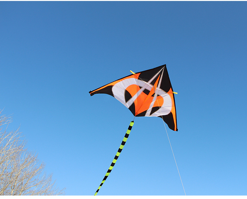 球形闪电 潍坊风筝 永健正品批发 成人三角风筝微风易飞 厂家直销