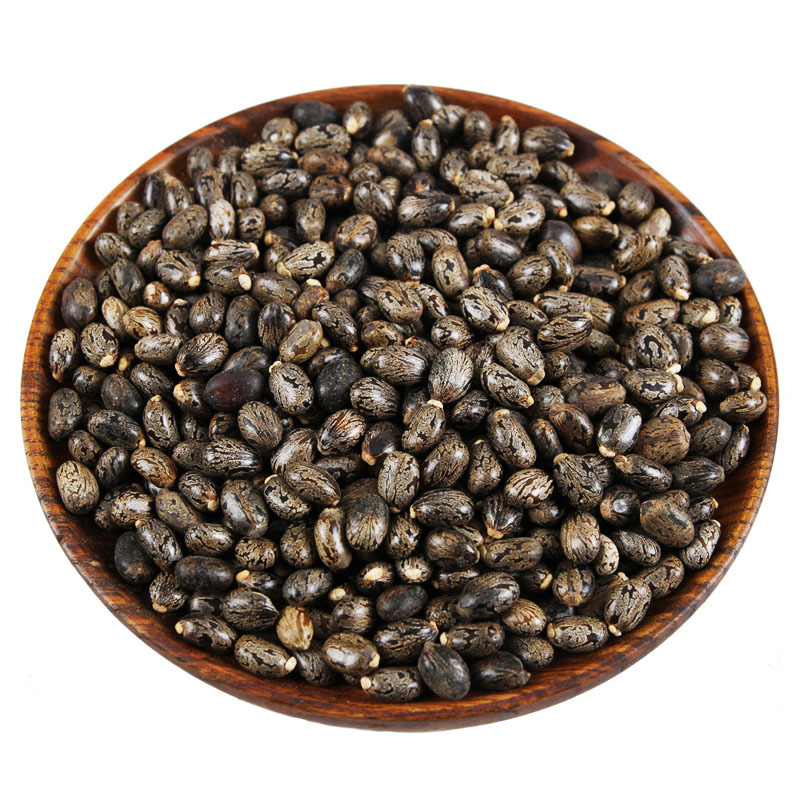 蓖麻子 蓖麻仁 蓖麻籽初级农产品