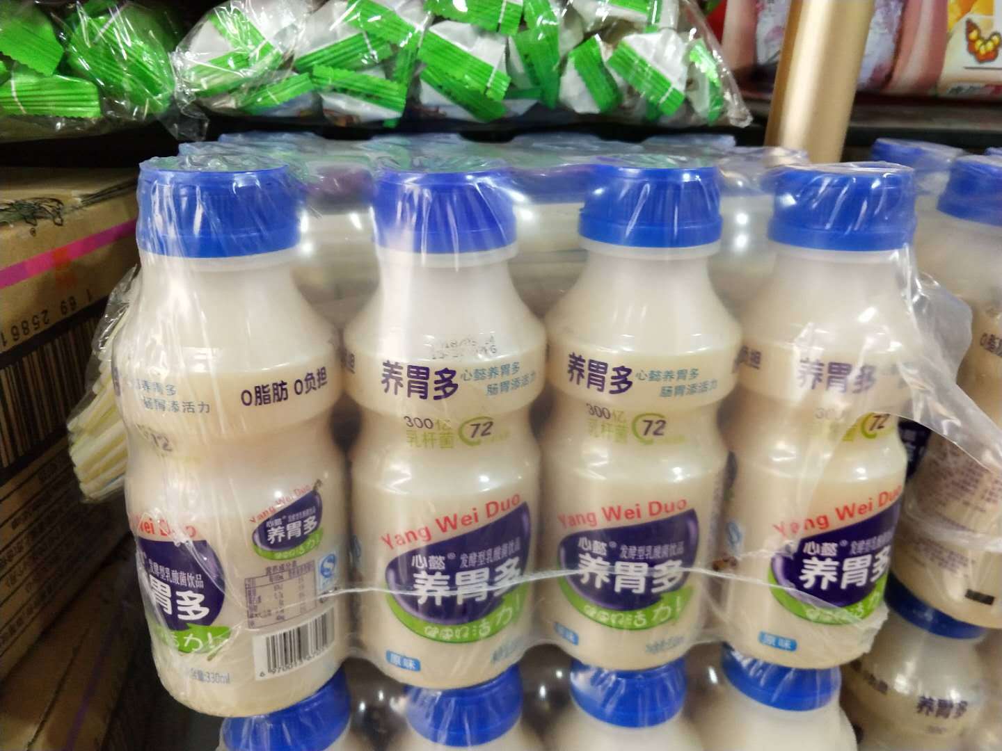 养胃多 乳酸饮品 12瓶/箱 大瓶装 乳酸菌饮料酸奶饮品牛奶批发