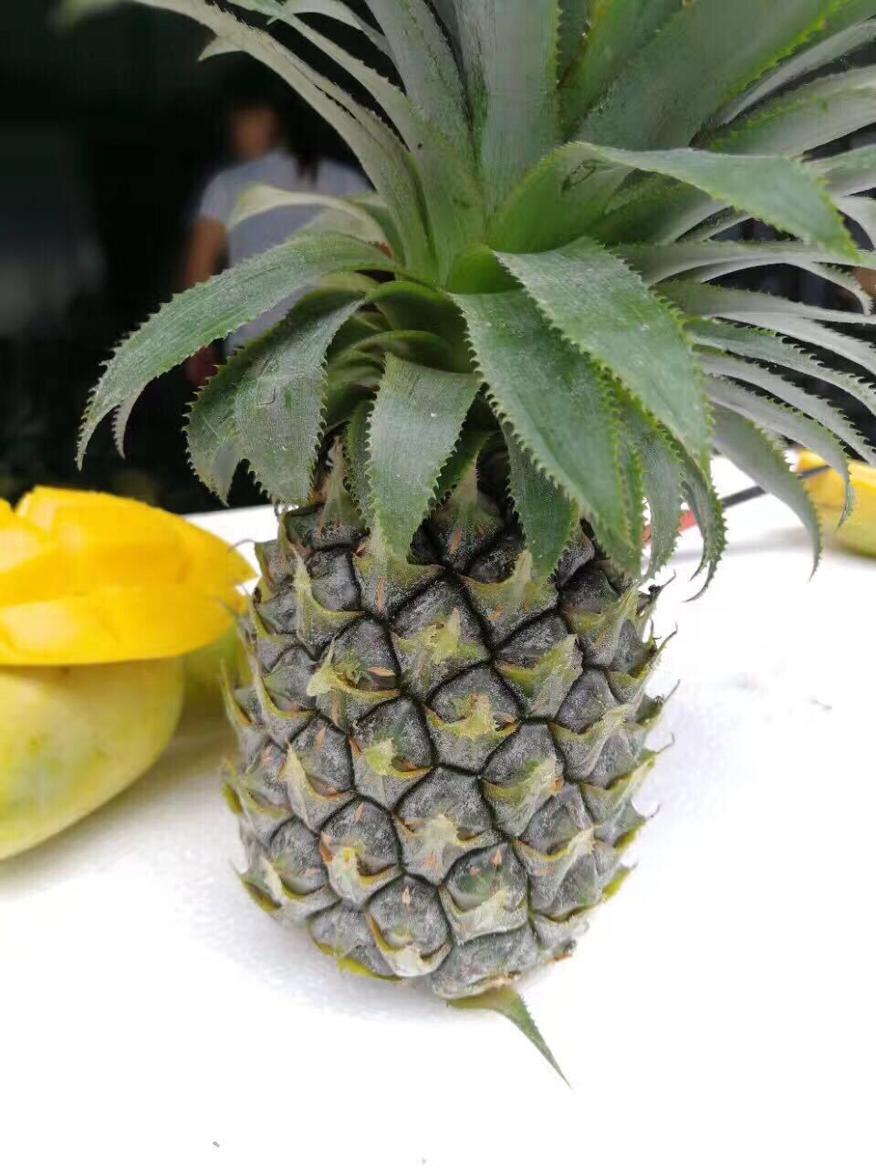 5斤送3斤泰国品种迷你香水小菠萝,送刀直接削皮吃也可以一件代发