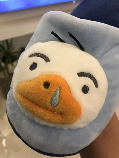 卡考kakao狮子ryan子屁桃鸭子居家防滑情侣地板棉拖鞋