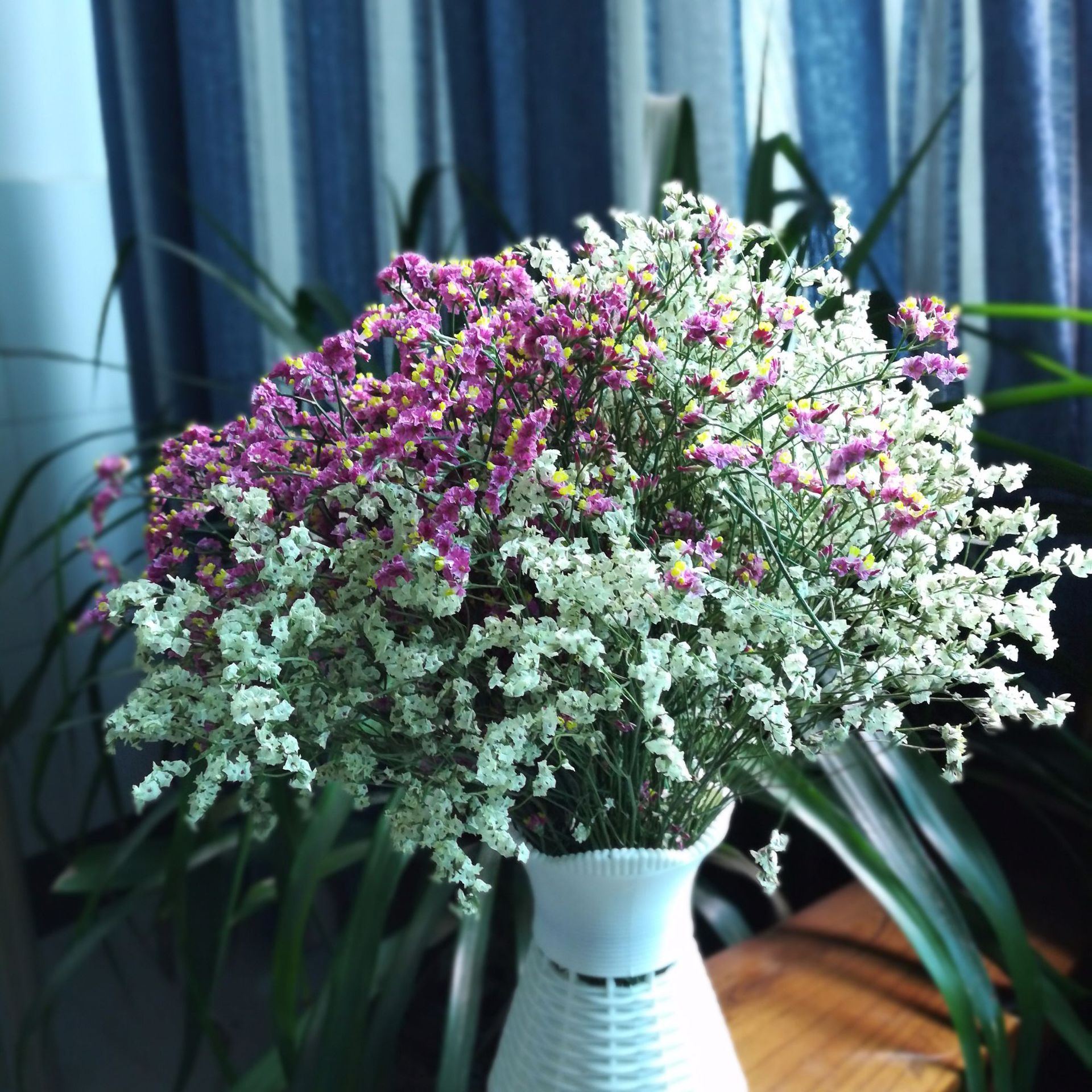 【送精美花瓶】云南干花 装饰花卉 家装干花 混搭包邮
