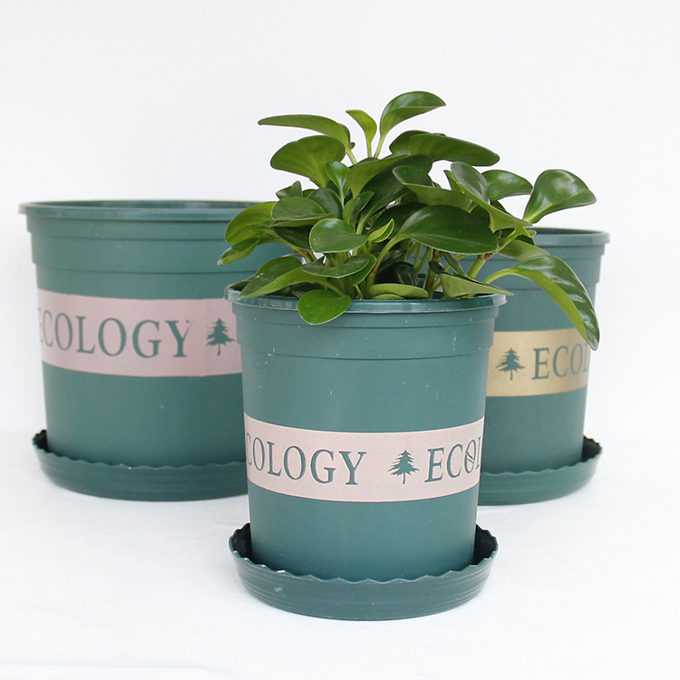 加仑盆 塑料花盆 阳台种花种菜多肉玫瑰月季盆栽花盆批发厂家直销