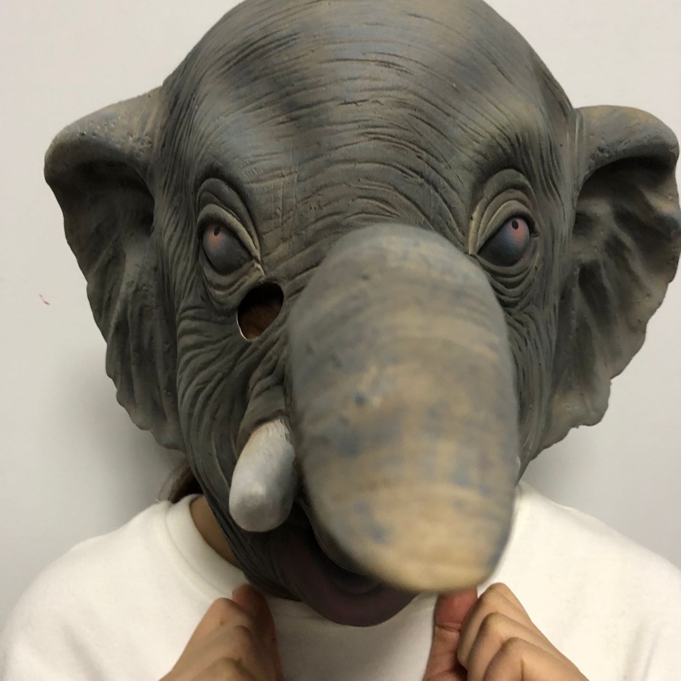 大象头套cos疯狂动物城 狐狸兔子派对卖萌装逼道具影视非洲象面具