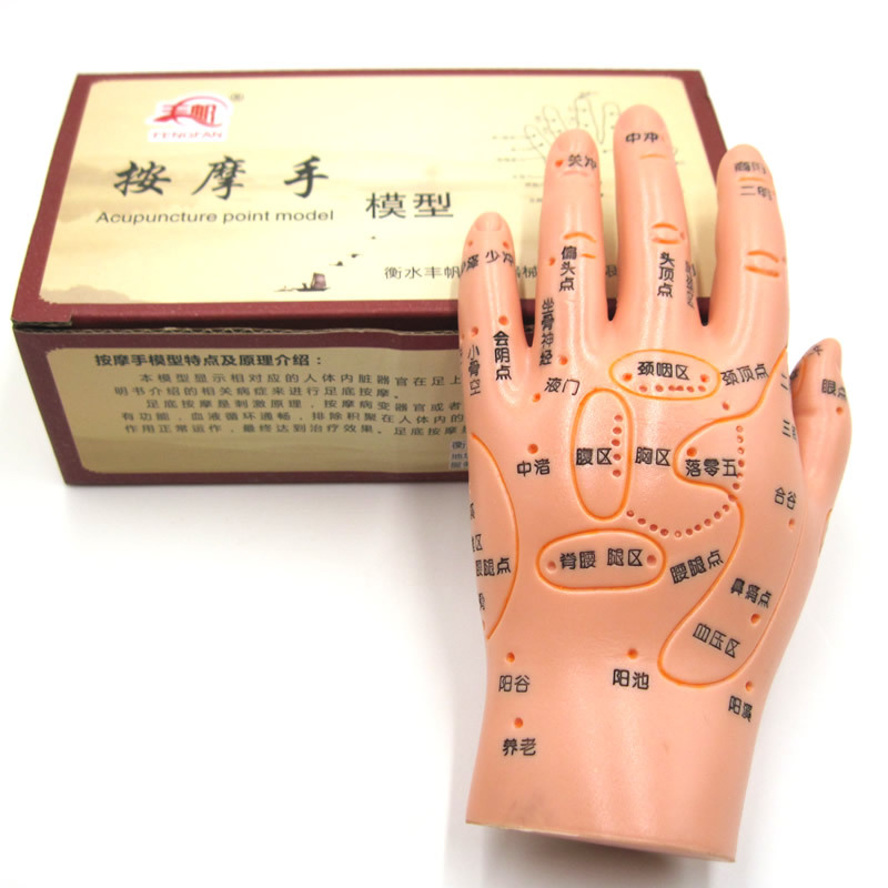 小儿推拿手模型手部反射区模型手部针灸穴位模型人体推拿按摩刻字
