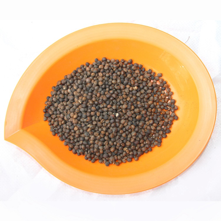 出售新采木棉种子青皮木棉种子新种子包发芽质量保证