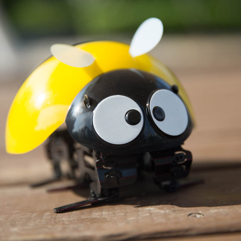 电动遥控瓢虫仿生甲虫昆虫逗逗虫感应瓢虫机器人智能新奇儿童玩具