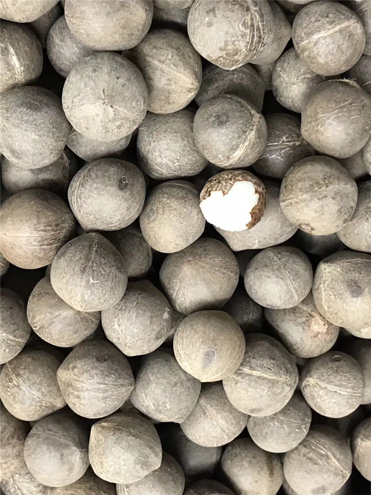 一德路海味 海椰王 干货野生小椰子滋补品500g