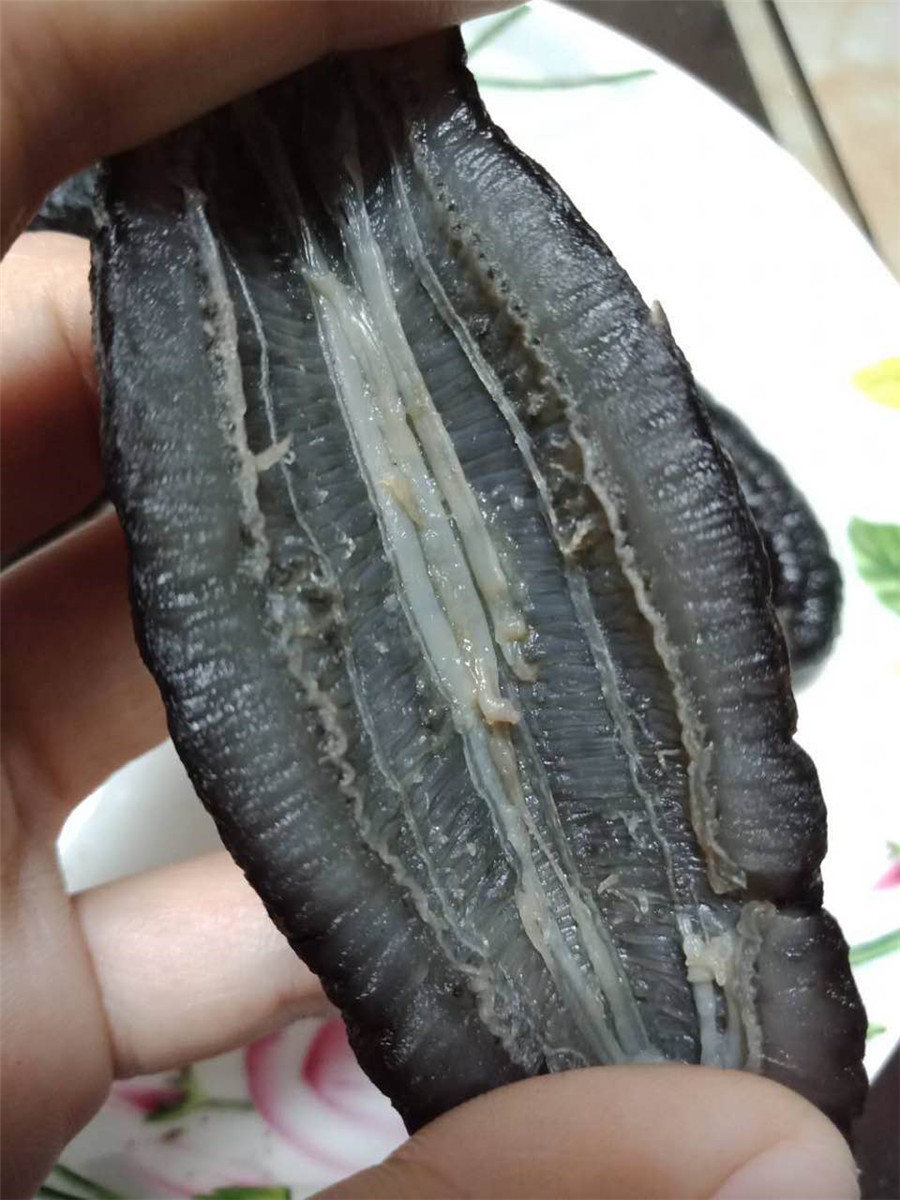 土耳其参 土耳其小米参 野生纯淡干海参 刺参 180/140/100/40