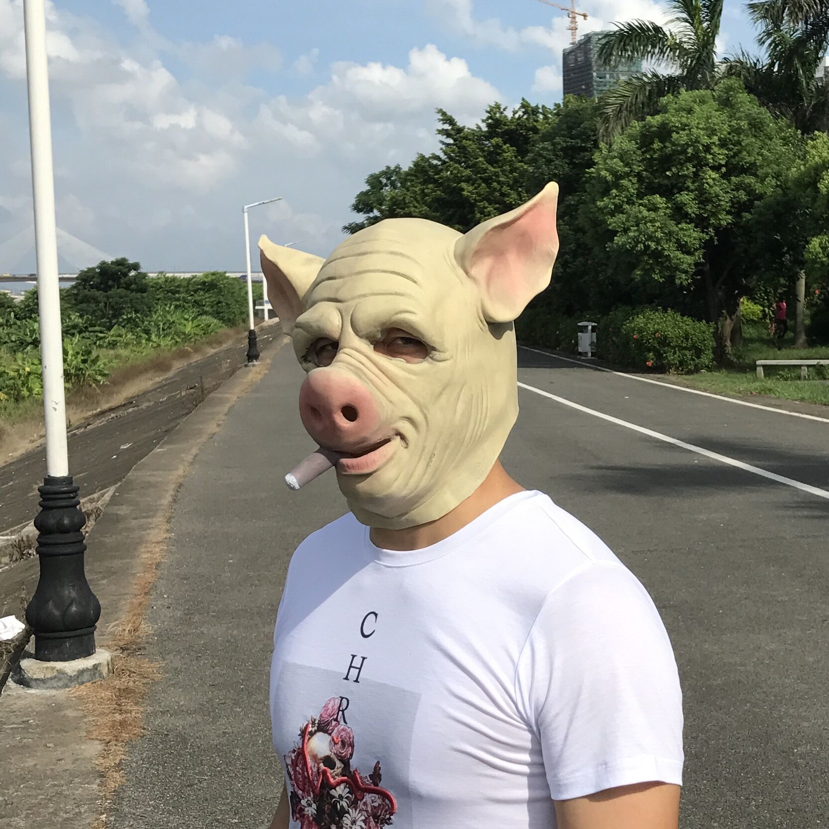 雪茄血猪头面具h1z1大逃杀头套frankenswine mask 弗兰肯斯温面具