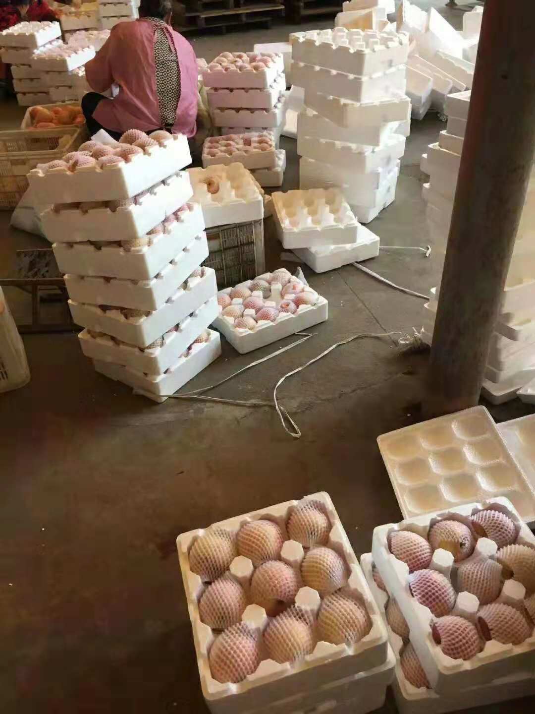 6格苹果秋月梨邮政快递泡沫箱厂家批发山东烟台龙口