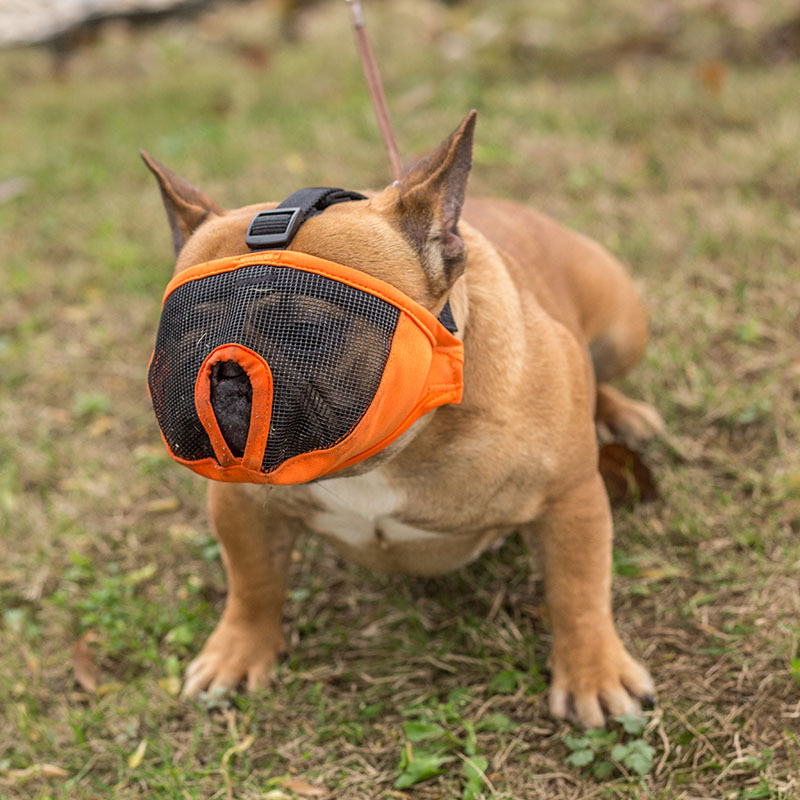 丧钟酷派短鼻腔狗专用口罩防咬防吠叫 斗牛犬眼罩s-xl四个尺寸