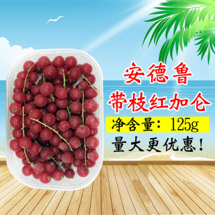 安德鲁速冻带枝红加仑果粒 带茎红加仑西餐原料蛋糕装饰125克