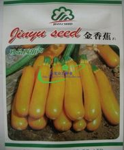 寿光蔬菜种子 金香蕉蜡烛西葫芦种子 早熟丰产商品性好