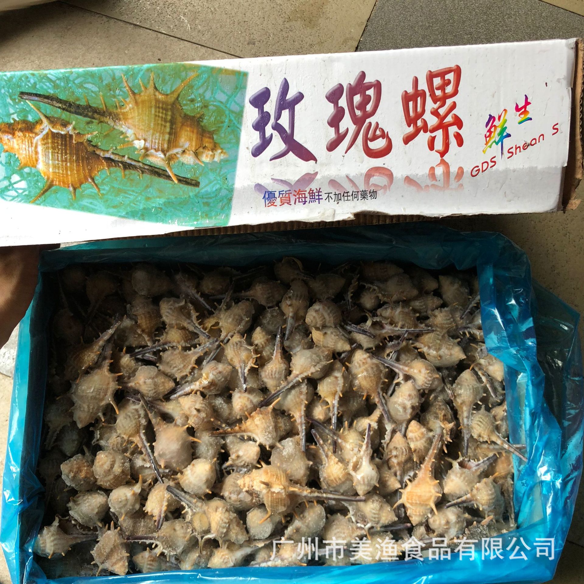 速冻玫瑰螺海螺刺螺海鲜自助餐火锅餐饮商用带冰5kg箱