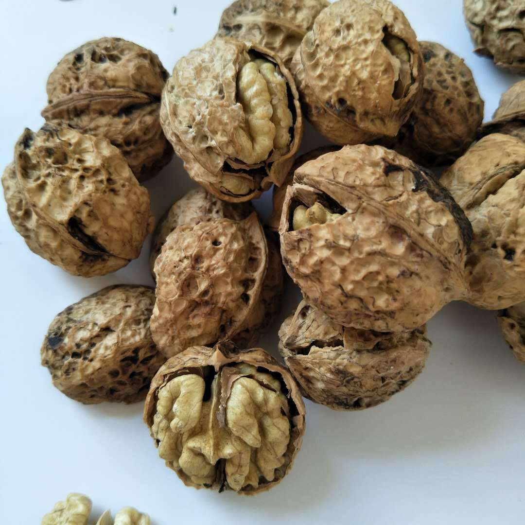 云南纸皮核桃_云南麻子纸皮核桃散装食品地摊跑江湖热卖货源暴利干货