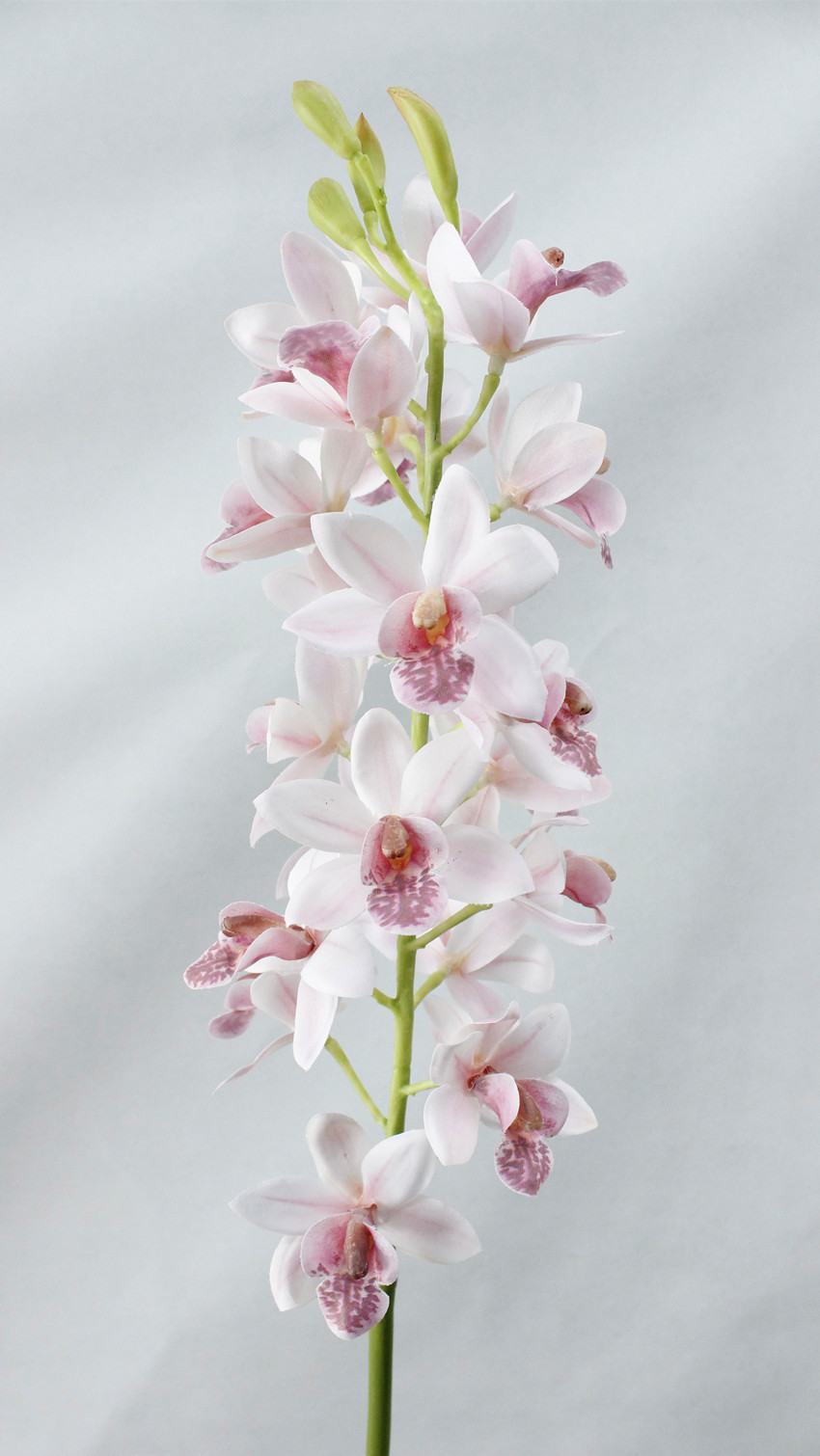 仿真花3d色绢布东亚兰 高档假花家居装饰