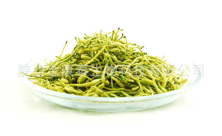 金银花提取物 绿原酸 金银花提取液 金银花浸膏 膏方滋膏原料