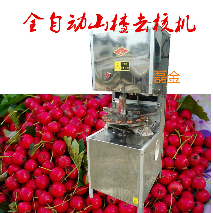 全自动冰糖葫芦机