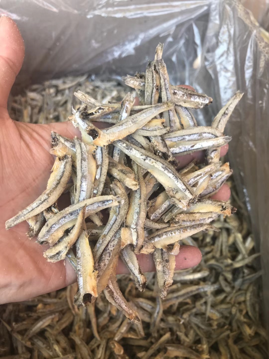 公鱼公干鱼鱼干海鲜干货鱼仔海味干货量大从优水产干货