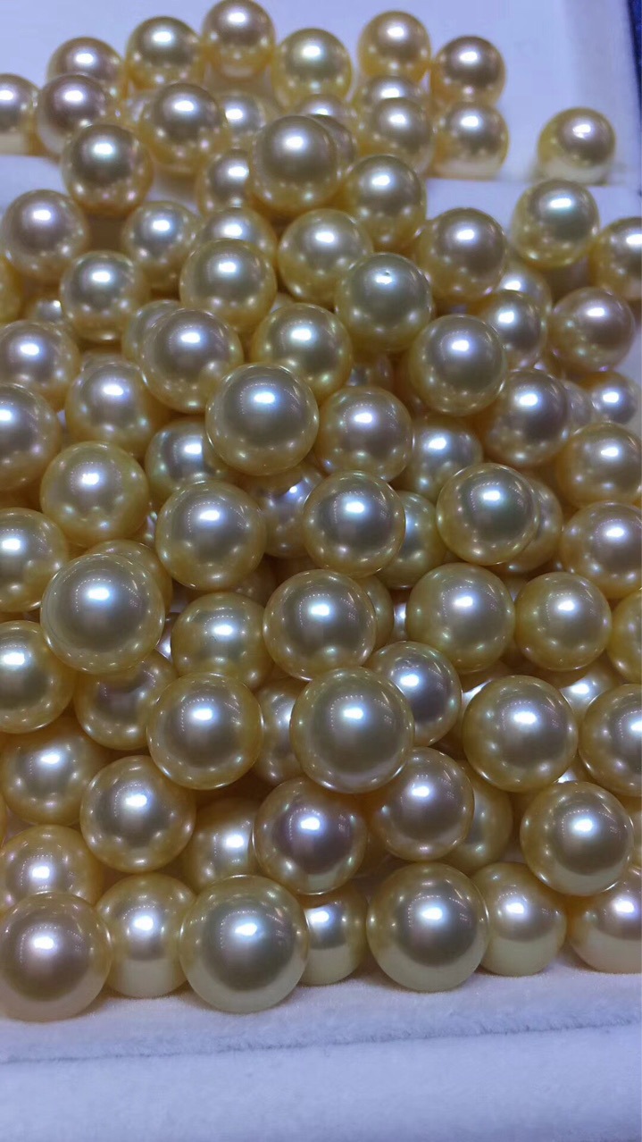 海水珍珠 南阳金珠 天然色 浓金干净无暇新货上架