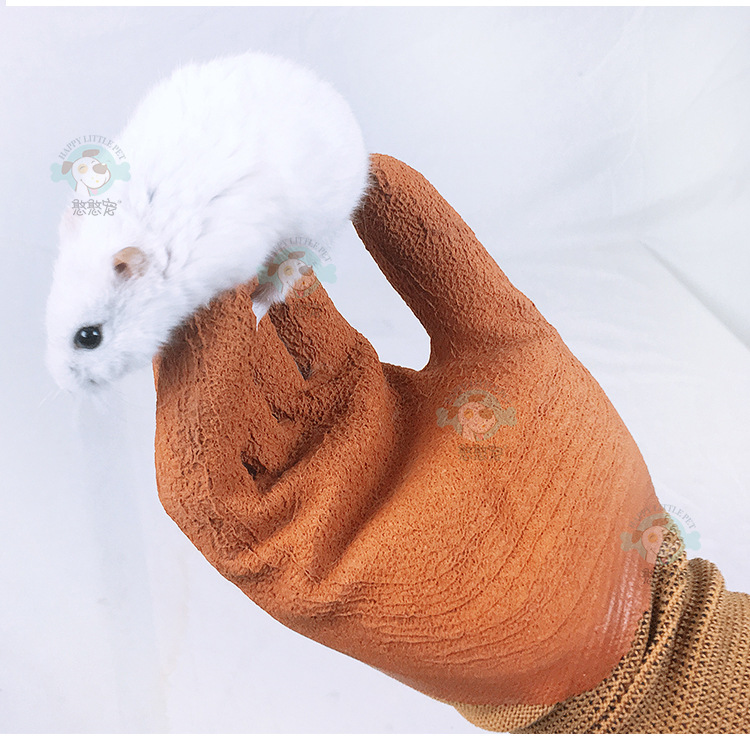 仓鼠用品仓鼠金丝熊防咬手套 鼠鼠防啃手抓仓鼠保护手套一双