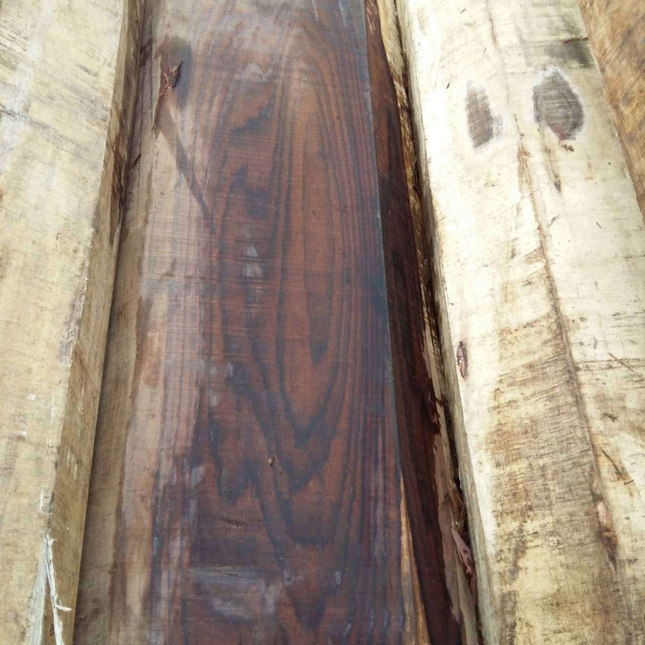 阔叶黄檀 印尼紫檀 原木 印尼黑酸枝木 方料 张家港市广润木业