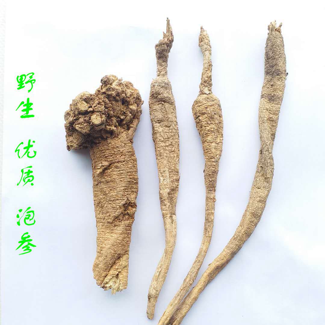 泡参 野生南沙参 产地一手货源无蛀虫 无杂质 无硫 中药材批发