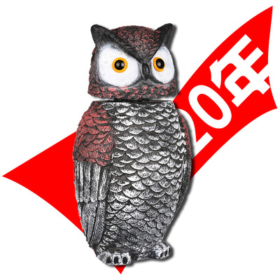 塑料仿真猫头鹰花园摆件吹塑假动物环保驱赶老鼠摇头猫头鹰
