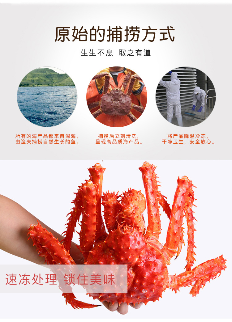 原装进口冻蟹 老虎蟹 雪蟹 帝王蟹 面包蟹 餐饮食材