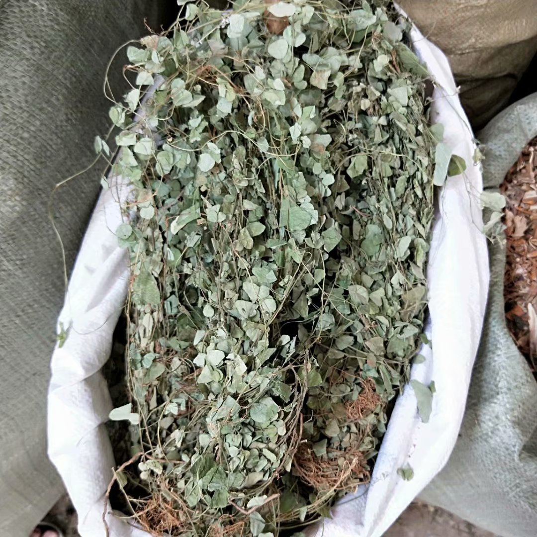 中药材圆叶化石草 猫须草