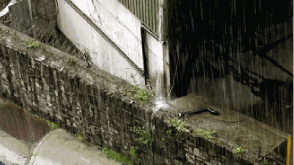 588_331gif 动态图 动图