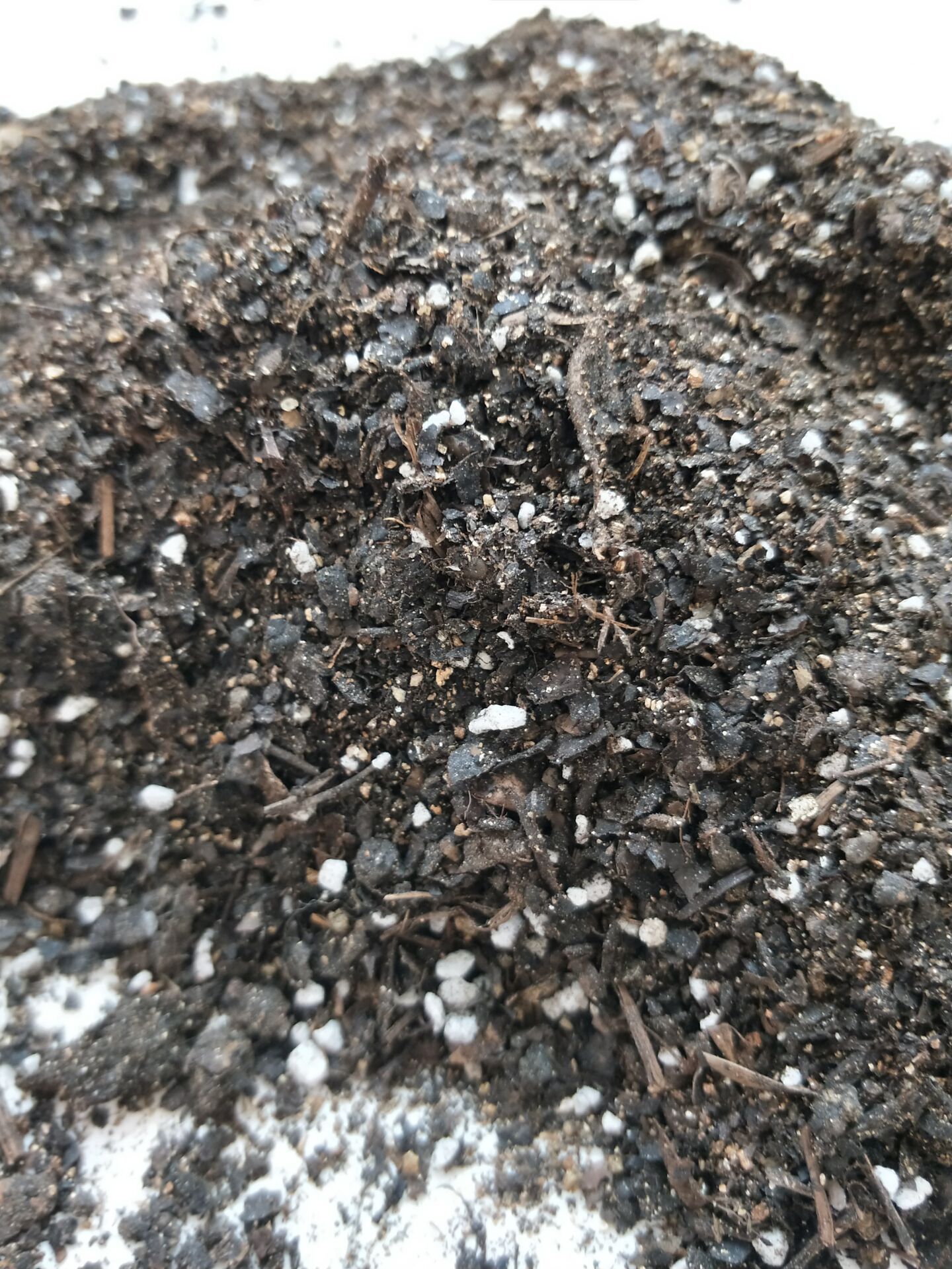 基质厂供应蔬菜育苗基质绿化栽培基质土多肉植物花卉培养土50升