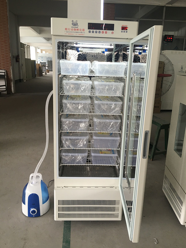 韶关珠江牌fhx325爬行动物孵化箱黄缘盒龟孵化箱325升